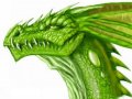 Green_Dragon_by_LordHannu.jpg